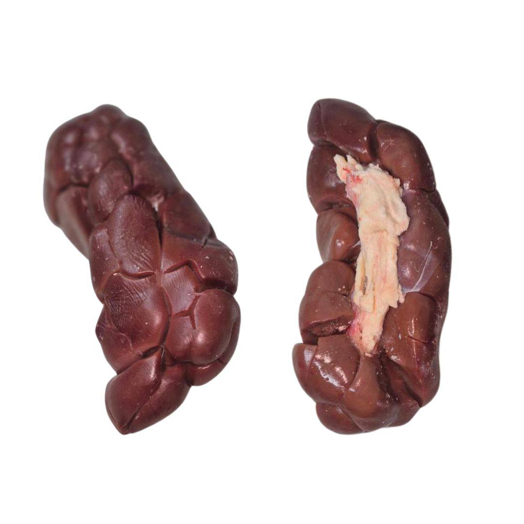 Kidney
